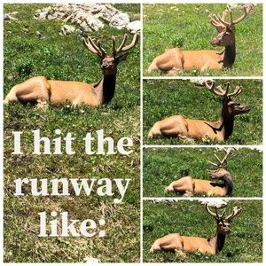 Meet your Posher, Ibrahim